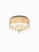 Obrenix | Ceiling Mounted Light