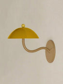 Iaelwynne I Wall Light