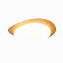 Trelisun | Ceiling Mounted Light