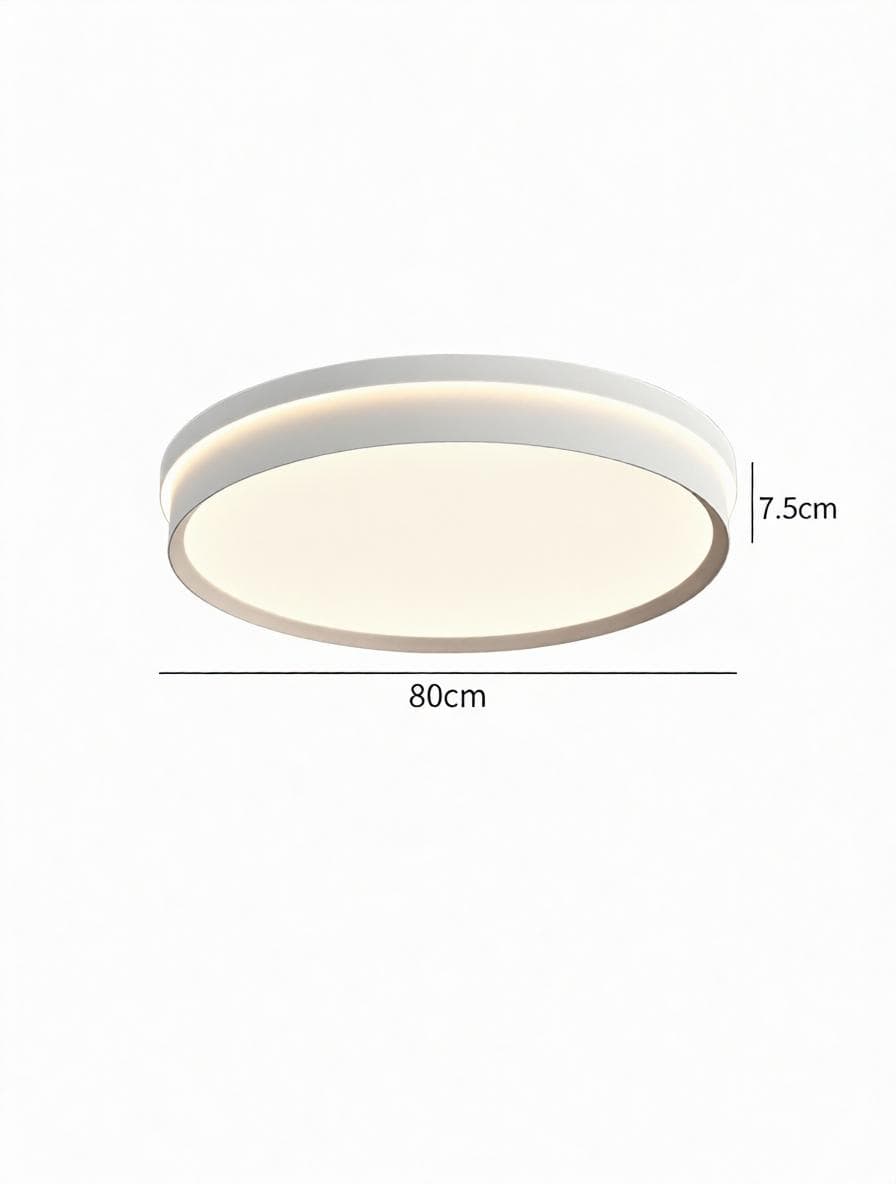 Alker Une | Ceiling Mounted Light