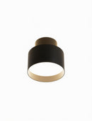 Elwynmire I Semi Flush Mounted Light