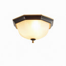 Oryndar | Ceiling Mounted Light