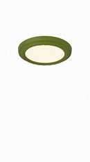 Gotter | Ceiling Mounted Light