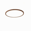 Vaenile | Ceiling Mounted Light