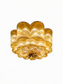 Elenmorr I Cluster Chandelier