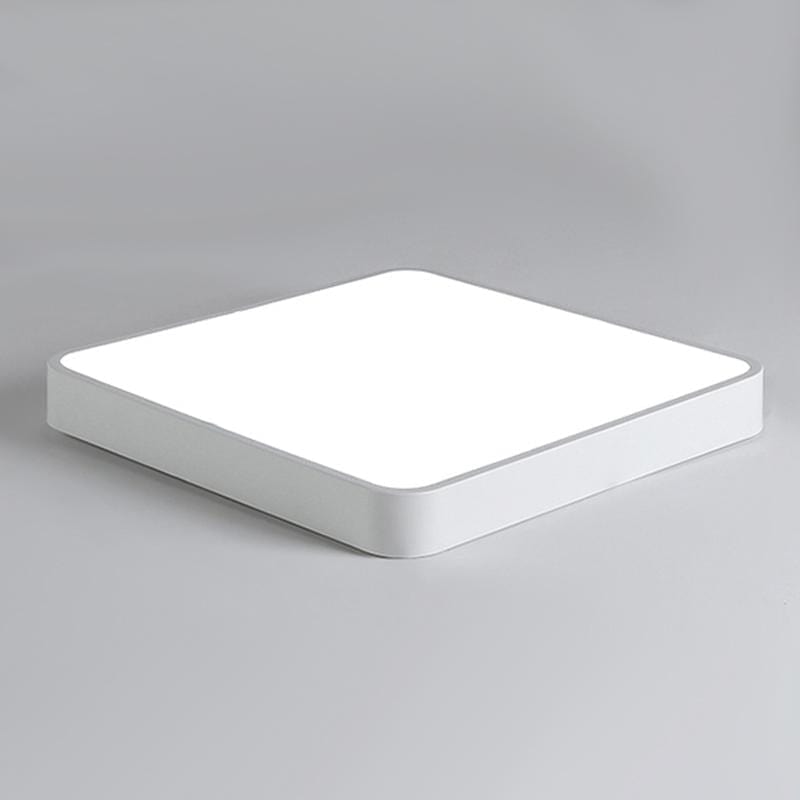 Baron Deux | 2 Color Ceiling Mounted Light - Home Cartel ®