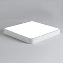 Baron Deux | 2 Color Ceiling Mounted Light