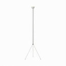 Elenira | Floor Lamp