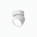 Jorvenithae | Surface Mounted Light