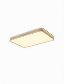 Virendre Trois | Ceiling Mounted Light