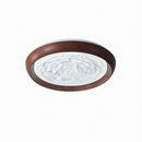 Elythara A | Ceiling Mounted Light