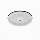 Froden | Ceiling Mounted Light
