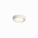 Haugrud | Ceiling Mounted Light