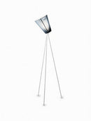 Hyralyn | Floor Lamp