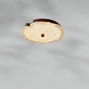 Drevetha | Ceiling Mounted Light