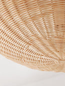 Veylran | Ceiling Mounted Light