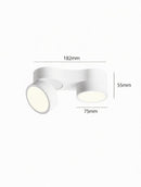 Kelryssarae | Surface Mounted Light