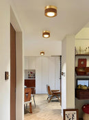 Calthorisae | Surface Mounted Light