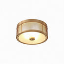Daelithas | Ceiling Mounted Light