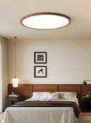 Vaenile | Ceiling Mounted Light