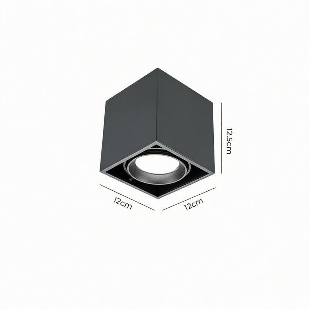 Luravynor Deux | Surface Mounted Light