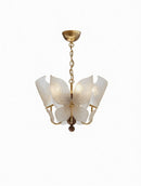 Veylenora B | Pendant Light