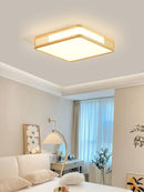 Renvali S | Ceiling Mounted Light
