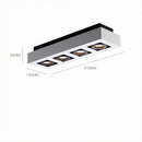 Ralvenith B | Surface Mounted Light