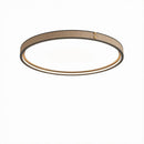 Minerich | Ceiling Mounted Light