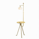 Wrelisyn | Integrated Shelf Floor Lamp