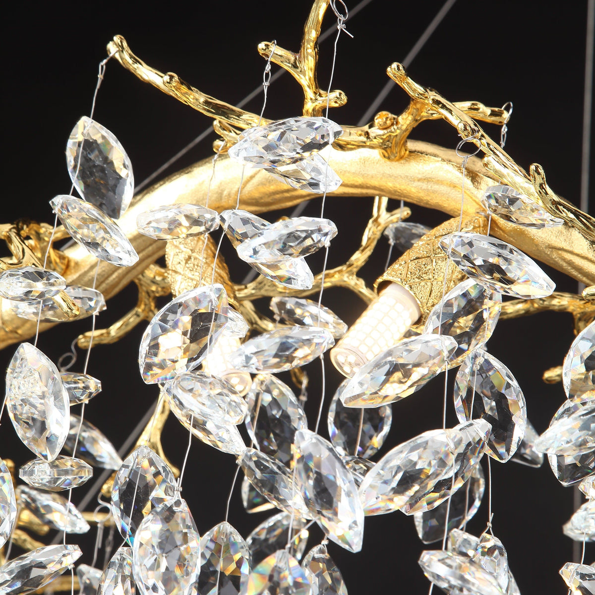 Lambos | Chandelier - Detail View #2 | HomeCartel