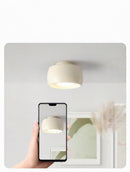 Verrin | Semi Flush Mounted Light