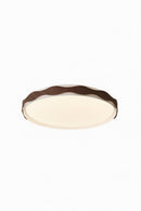 Taelithra | Ceiling Mounted Light