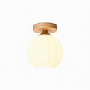Paelindis I Semi Flush Mounted Light