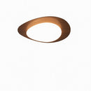 Trelisun | Ceiling Mounted Light