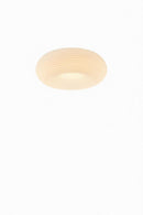 Valorina I Ceiling Mounted Light