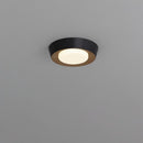 Haugrud | Ceiling Mounted Light