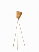 Hyralyn | Floor Lamp