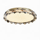 Wiesel | Ceiling Mounted Light