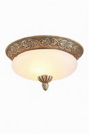 Elarithra | Ceiling Mounted Light