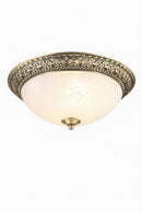 Maelaris | Ceiling Mounted Light
