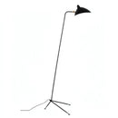 Zelmoro | Floor Lamp Swing Arm