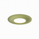 Elyvaris B | Ceiling Mounted Light