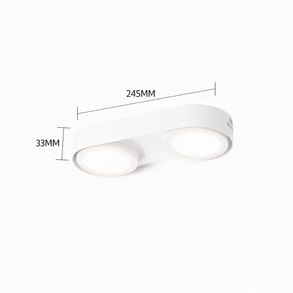 Aelaris | Surface Mounted Light
