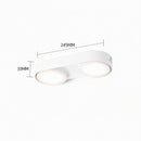 Aelaris | Surface Mounted Light