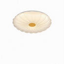 Ryrenthia | Ceiling Mounted Light