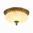 Elunyra | Ceiling Mounted Light
