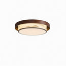 Vainthar Une | Ceiling Mounted Light