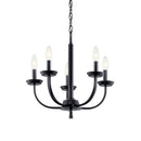Giant Une | Mini Chandelier