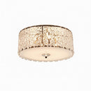 Wurgler | Ceiling Mounted Light